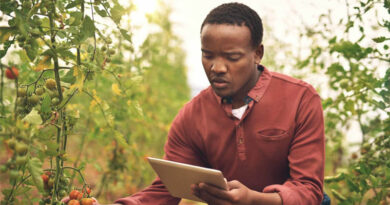 How Digital Innovation And Better Data Can Strengthen Africa’s Food Systems