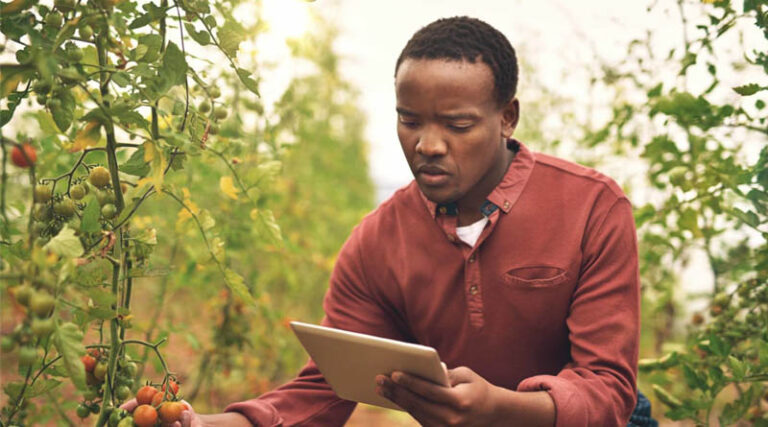 How Digital Innovation And Better Data Can Strengthen Africa’s Food Systems