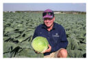 How Limit Farms Achieves Premium Brassica Quality