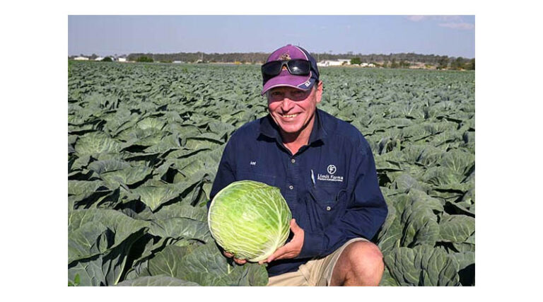 How Limit Farms Achieves Premium Brassica Quality