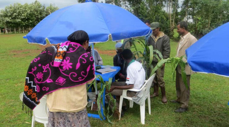 How Plant Clinics Are Strengthening Biosecurity In Ethiopia