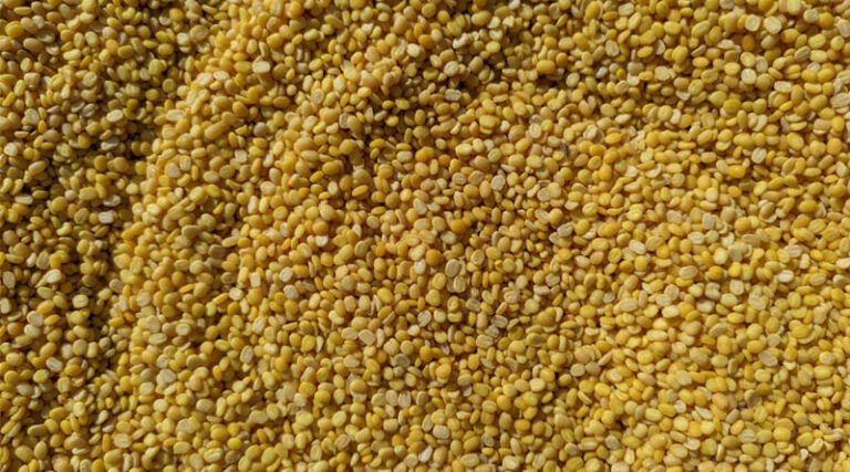 ICAR Completes Telomere-to-Telomere Genome of Pigeonpea Variety 'Asha'