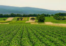 Implementation Of Agristack And Digital Agriculture Mission