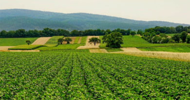 Implementation Of Agristack And Digital Agriculture Mission Implementation Of Agristack And Digital Agriculture Mission