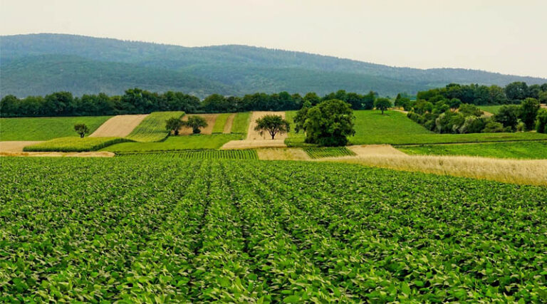 Implementation Of Agristack And Digital Agriculture Mission