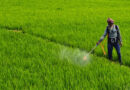 India Approves 3 New Agrochemical Formulations at 474th RC Meeting