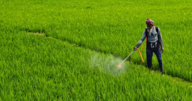 India Approves 3 New Agrochemical Formulations at 474th RC Meeting