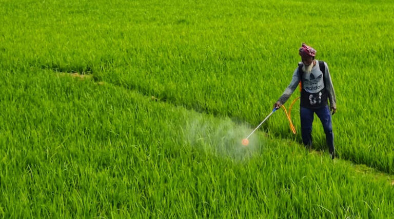 India Approves 3 New Agrochemical Formulations at 474th RC Meeting