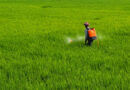 India Approves Eight New Agrochemical Products at 475th Registration Committee Meeting