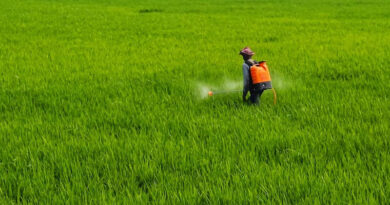 India Approves Eight New Agrochemical Products at 475th Registration Committee Meeting India Approves Eight New Agrochemical Products at 475th Registration Committee Meeting