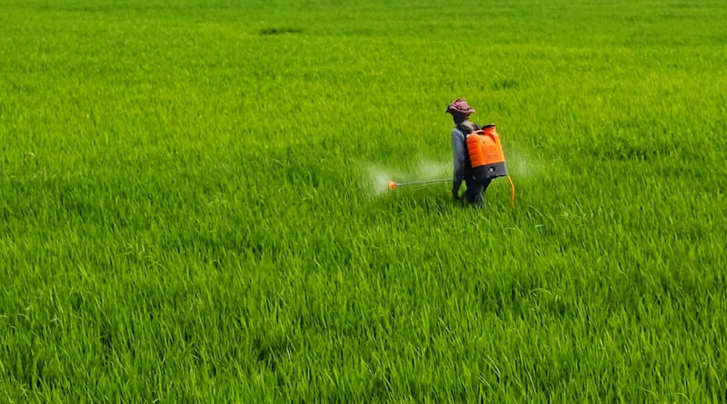 India Approves Eight New Agrochemical Products at 475th Registration Committee Meeting