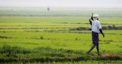 India Crosses 1,000 Lakh Hectares of Kharif Sowing in 2026 Despite El Niño