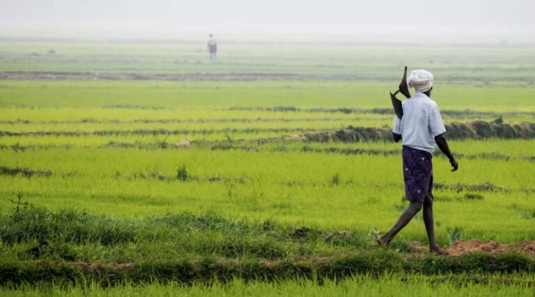 India Crosses 1,000 Lakh Hectares of Kharif Sowing in 2026 Despite El Niño