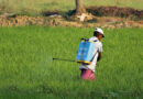 India Proposes Complete Ban on Carbosulfan Insecticide
