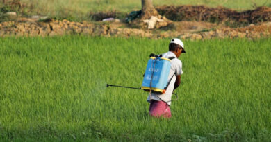 India Proposes Complete Ban on Carbosulfan Insecticide India Proposes Complete Ban on Carbosulfan Insecticide