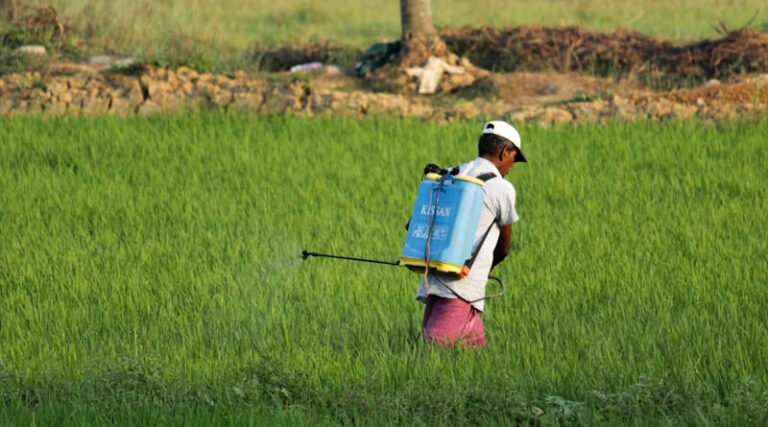 India Proposes Complete Ban on Carbosulfan Insecticide