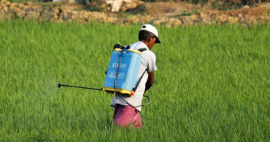 India Reviews Expert Committee Report on Restricted Use of Glyphosate