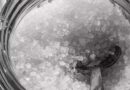 India to Import 1 Million Tonnes of Sugar as Ethanol Diversion Tightens Supplies