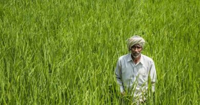 Indian Agriculture 2026: 10 Key Numbers on Production, Farmers, Exports and Allied Sectors Indian Agriculture 2026: 10 Key Numbers on Production, Farmers, Exports and Allied Sectors