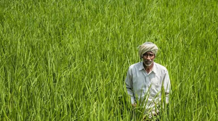 Indian Agriculture 2026: 10 Key Numbers on Production, Farmers, Exports and Allied Sectors