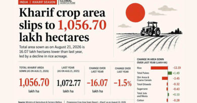 India’s Kharif Crop Area Reaches 1,056.70 Lakh Hectares India’s Kharif Crop Area Reaches 1,056.70 Lakh Hectares
