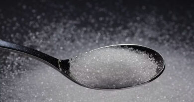 India’s Sugar Industry: Sector Overview, Value Chain and Recent Price Trends India’s Sugar Industry Sector Overview, Value Chain and Recent Price Trends