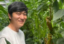 Innovative Sweet Palermo Partnership Creates Value In Korea