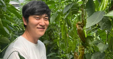 Innovative Sweet Palermo Partnership Creates Value In Korea Innovative Sweet Palermo Partnership Creates Value In Korea