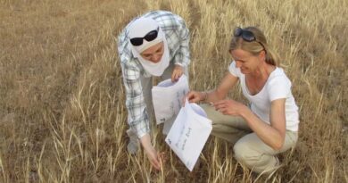 Insights from Genesys: Over 120 Years of Crop Collecting in Under 40 Seconds Insights from Genesys Over 120 Years of Crop Collecting in Under 40 Seconds