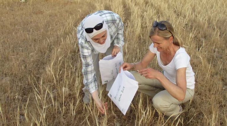Insights from Genesys Over 120 Years of Crop Collecting in Under 40 Seconds