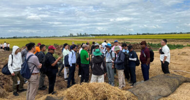 International Delegates Explore High-Quality, Low-Emission Rice Production and Circular Economy Models in Can Tho, Viet Nam