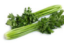Kelvin RZ Performs Through Celery’s Danger Zone To Ensure Supply Security