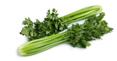Kelvin RZ Performs Through Celery’s Danger Zone To Ensure Supply Security