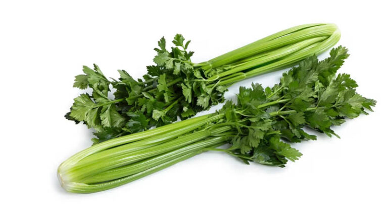 Kelvin RZ Performs Through Celery’s Danger Zone To Ensure Supply Security