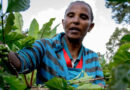 Locally LED Adaptation Has Momentum, Now It Needs Proof