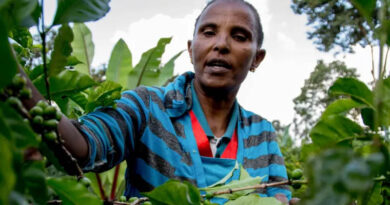 Locally LED Adaptation Has Momentum, Now It Needs Proof