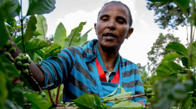 Locally LED Adaptation Has Momentum, Now It Needs Proof