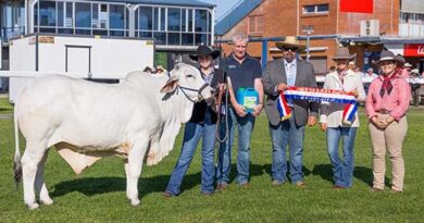 Mackay Beef Producers Gather For Second Annual Elders Expo Mackay Beef Producers Gather For Second Annual Elders Expo