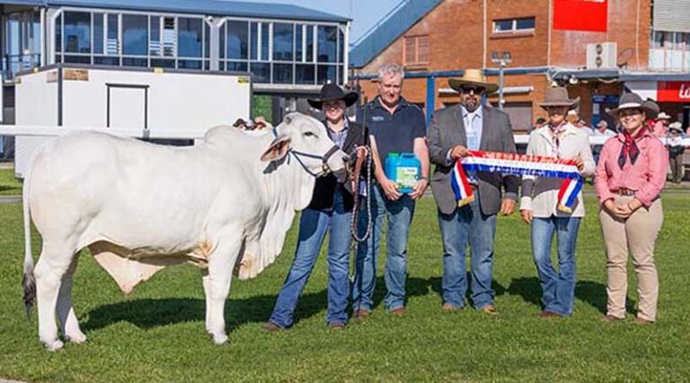 Mackay Beef Producers Gather For Second Annual Elders Expo