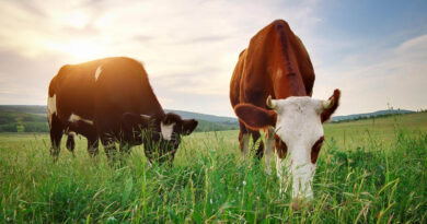 Mercantile Life Science Ventures IV and Big Idea Ventures Invest in Maia Fertility Mercantile Life Science Ventures IV and Big Idea Ventures Invest in Maia Fertility