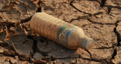Microplastics in Soil May Be Less Risky Than Previously Thought Study