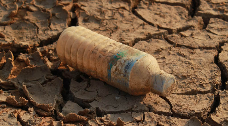 Microplastics in Soil May Be Less Risky Than Previously Thought Study