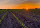 NCGA Welcomes Farm Bill Progress