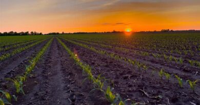 NCGA Welcomes Farm Bill Progress
