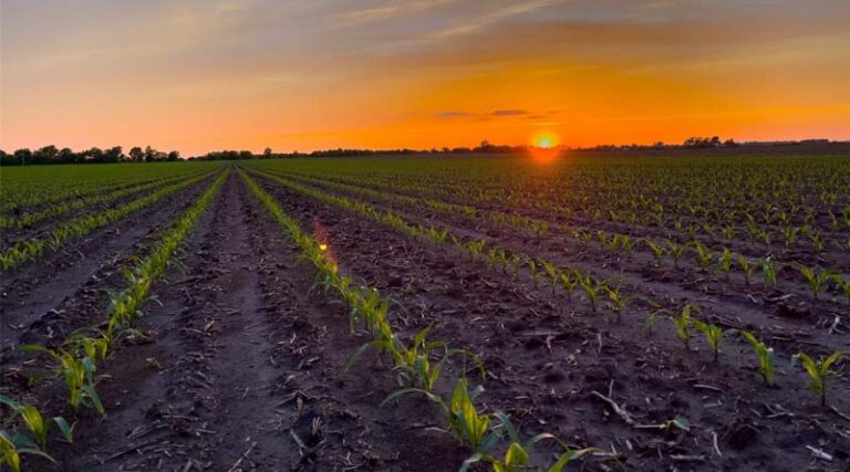 NCGA Welcomes Farm Bill Progress