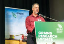 NSW Data Strengthen Nitrogen Loss Predictions