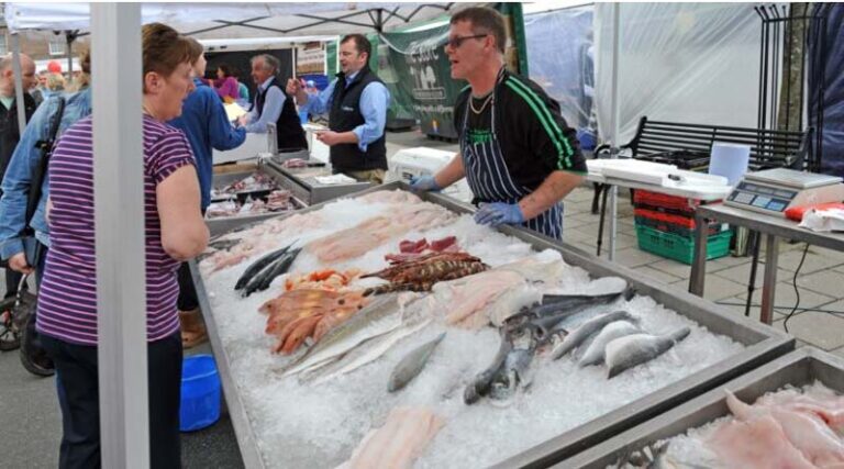 New Hutton study reveals untapped potential in Scottish seafood industry