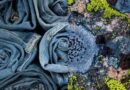 Novonesis launches DeniBrite™ Platform To Help Future-Proof Denim Bleaching
