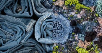 Novonesis launches DeniBrite™ Platform To Help Future-Proof Denim Bleaching