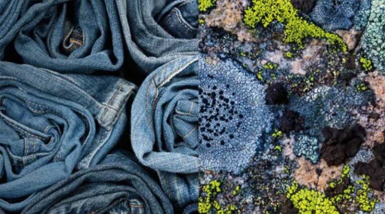 Novonesis launches DeniBrite™ Platform To Help Future-Proof Denim Bleaching